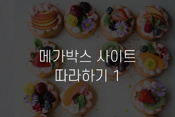 메가박스 사이트 따라하기 1 기본 셋팅