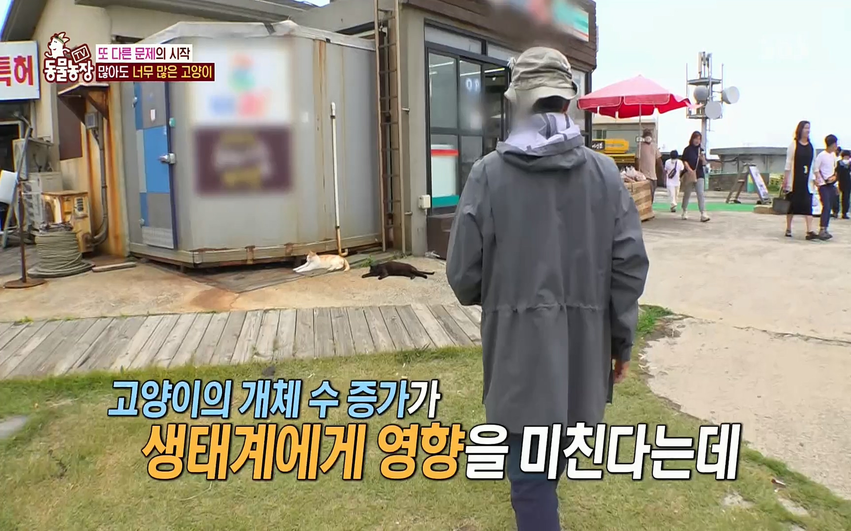 TV 동물농장.E1077.220710p.H264-F1RST.mp4_20220710_175431.023.jpg