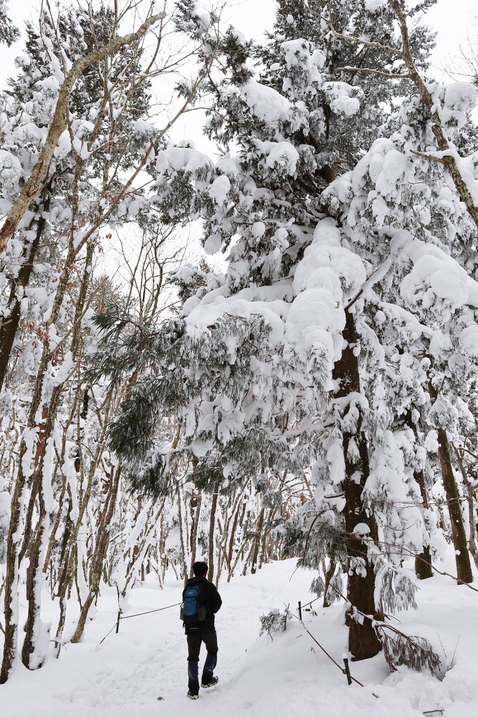 눈쌓인 겨울산 이미지 53