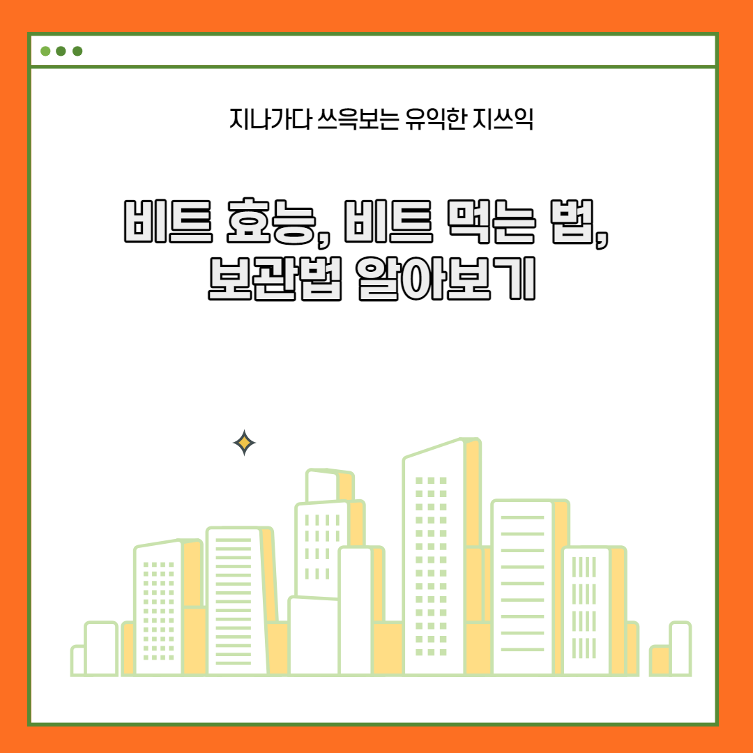  비트 효능, 비트 먹는 법, 보관법 알아보기