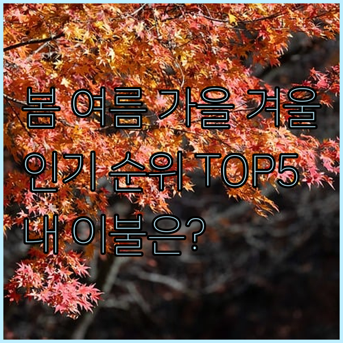 사계절 침구세트 인기 순위 TOP 5