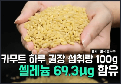  세계 10대 슈퍼푸드 카무트 효능 5가지! 총 정리해드립니다.(fa.당뇨병)