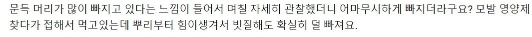 파트라모 내돈내산 후기