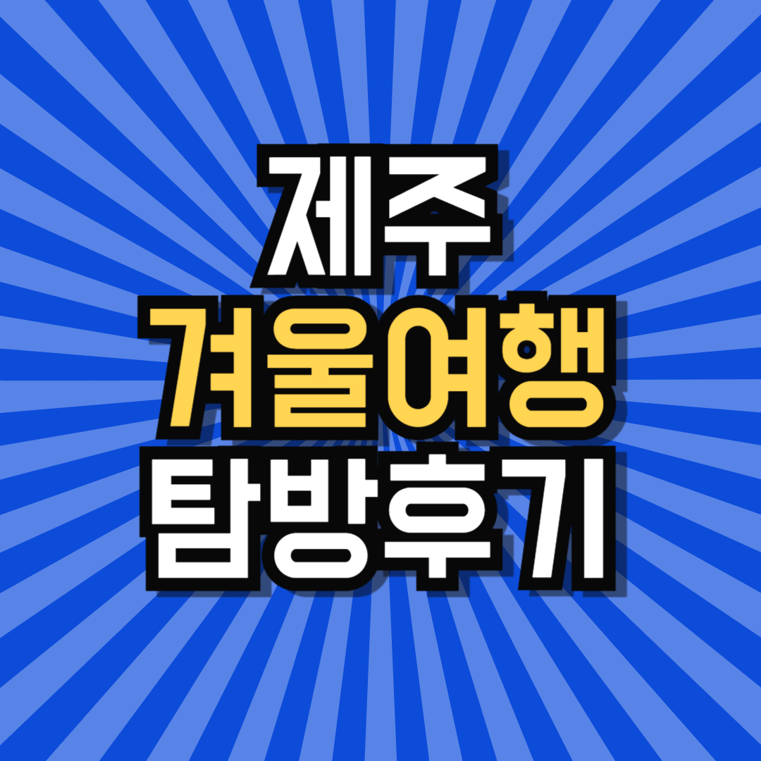 제주겨울여행 식당 가게 음식점 선택 고민이라면?