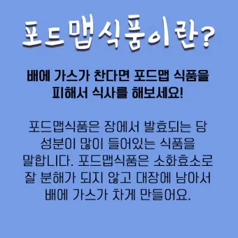 포드맵 뜻 포드맵식품 총정리_20