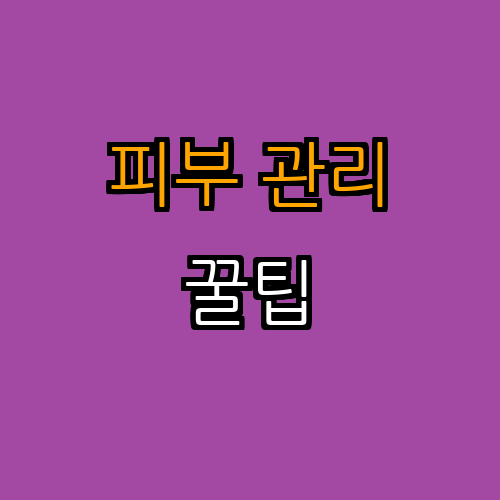 3. 겨울철 피부 관리 팁