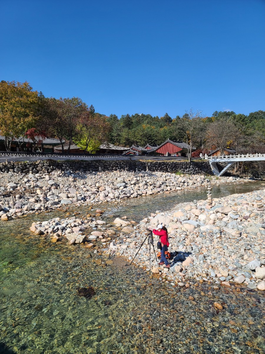백담사 단풍 멋지다 ( 셔틀버스안내 ) 강원도 인제 여행 / 설악산 41