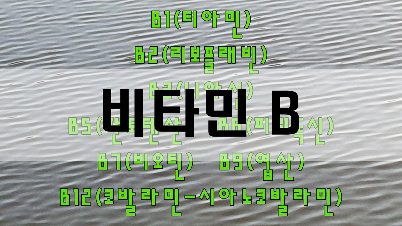  비타민B 복용 - 효능과 결핍 증상