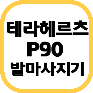 테라헤르츠 P90 발마사지기
