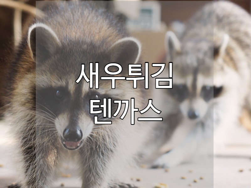  타누키소바 뜻 새우튀김 텐까스가 진짜!
