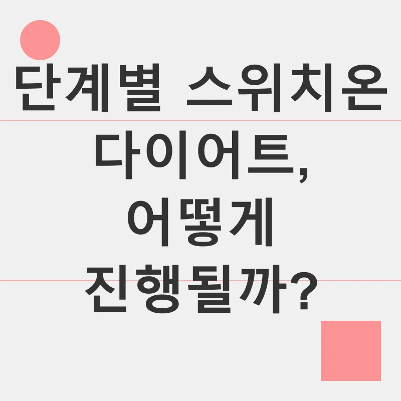 스위치온 다이어트_2