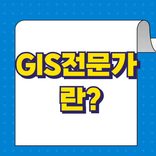 GIS전문가