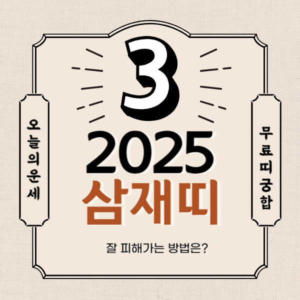 2025년 삼재띠