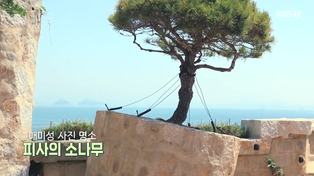 동네 한 바퀴.E273.240512p-NEXT.mp4_20240512_163615.469.jpg