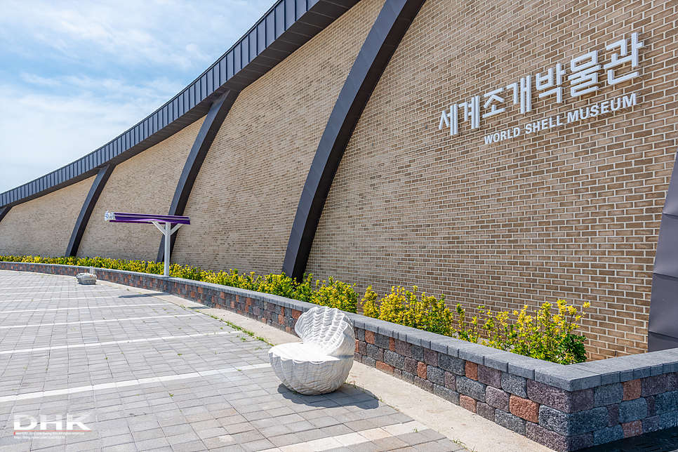 국내 1박2일 여름 여행 추천1박2일 서해 섬여행 신안 가볼만한곳 자은도 1004뮤지엄파크 세계조개박물관, 해바라기 27