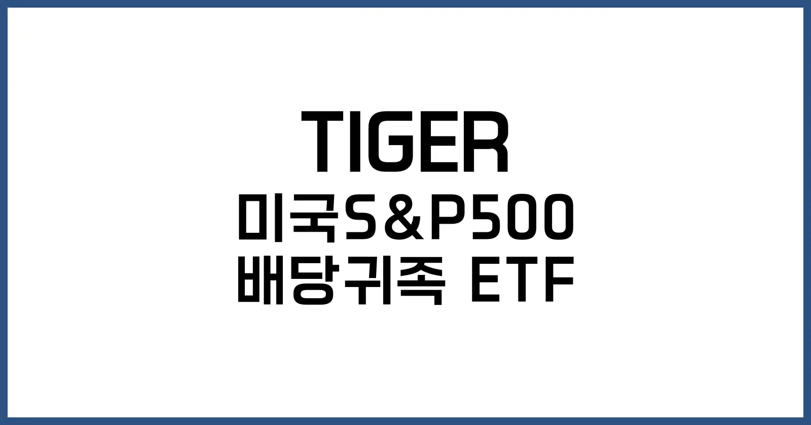 TIGER 미국S&amp;P500배당귀족 ETF