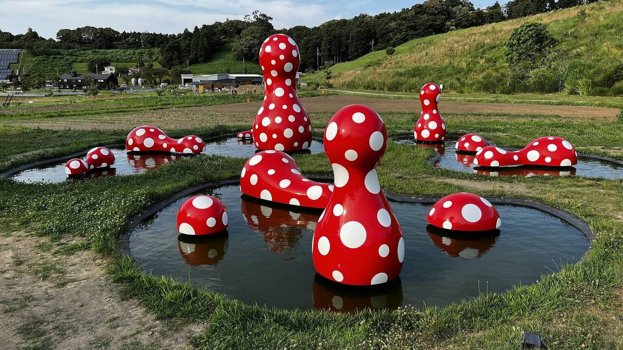 수아트 이미지