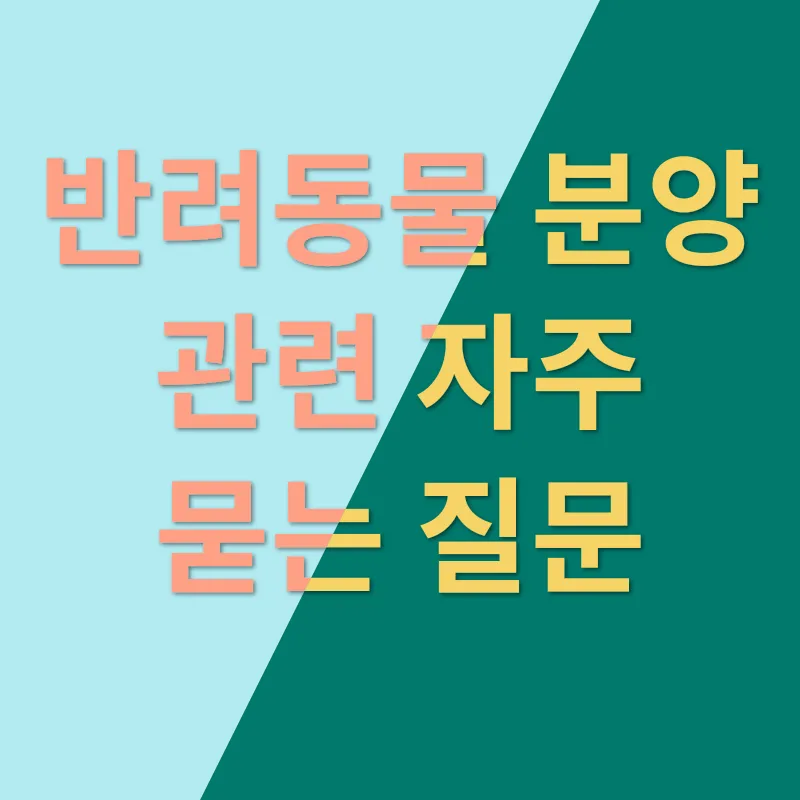 동물분양_4