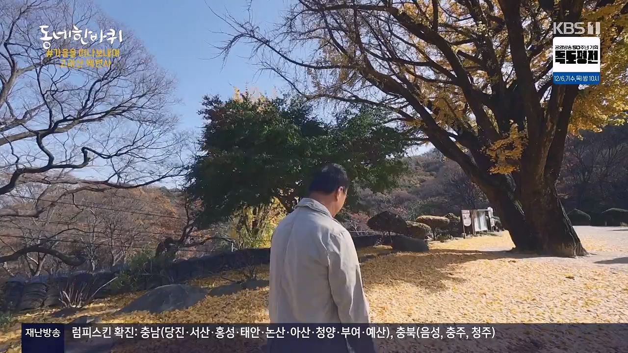 동네 한 바퀴.E249.231126p-NEXT.mp4_20231127_211759.845.jpg