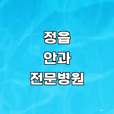 정읍시 안과