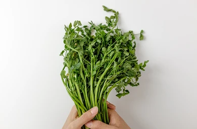  미나리(Water Parsley)의 신세계!! 건강한 식단과 아름다운 피부를 위한 미나리 라이프!