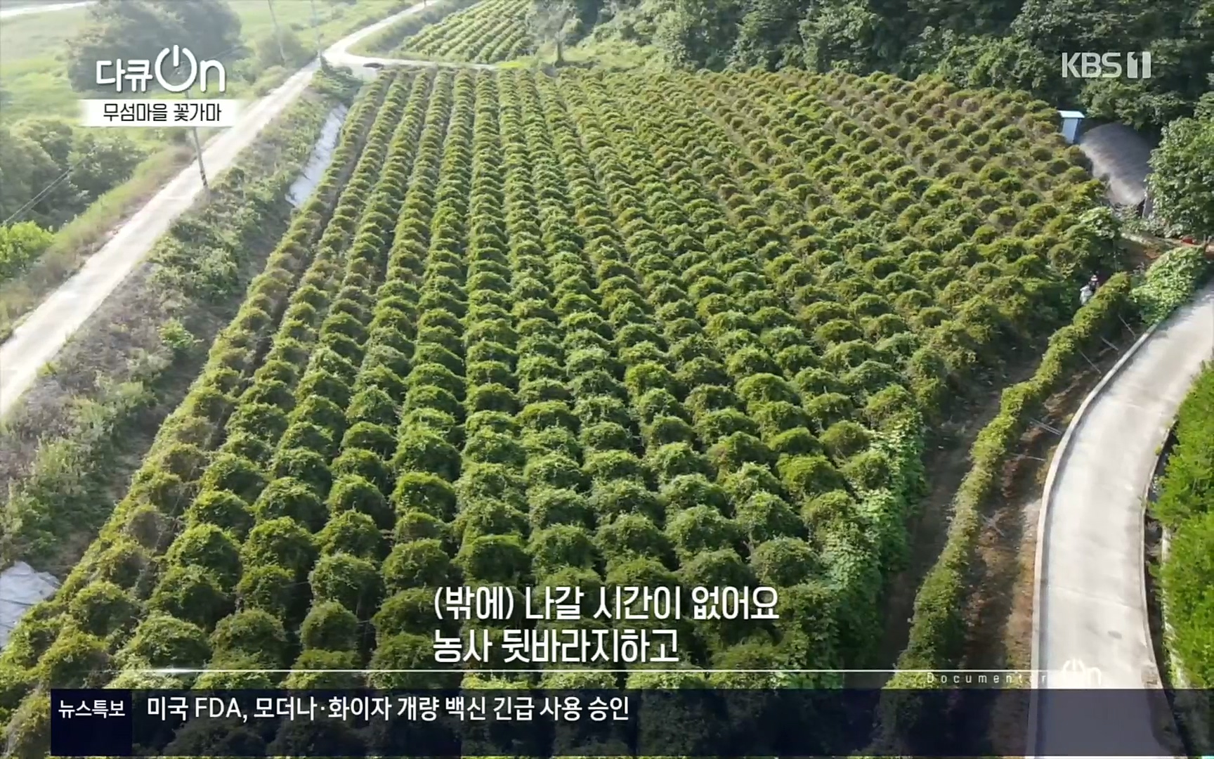 다큐 On.E156.220909p.H264-F1RST.mp4_20220910_191034.950.jpg