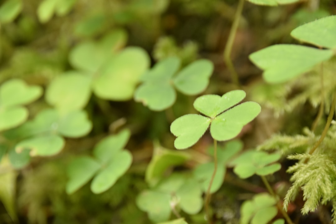 Luck