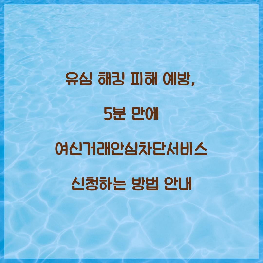 유심 해킹 피해 예방: 5분 만에 신청하는 여신거래안심차단서비스