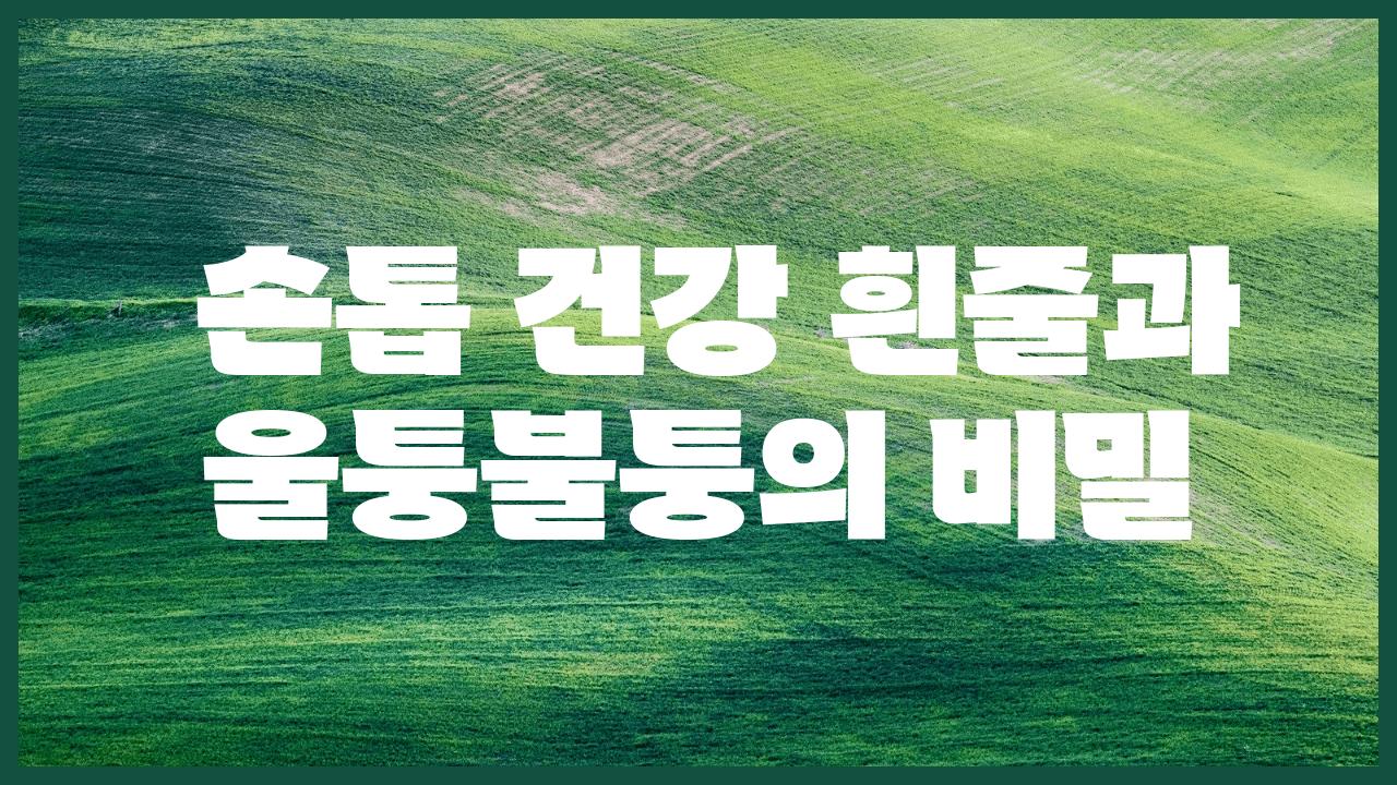  손톱 건강 흰줄과 울퉁불퉁의 비밀