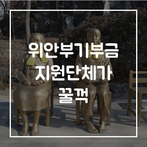  위안부 기부금 "지원 단체가 10억 엔 꿀꺽"