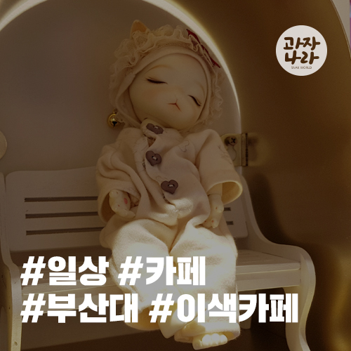  부산대 데이트 장소 추천 이색 카페 피포스 인형 카페