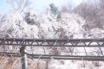 화담숲 사전예약 