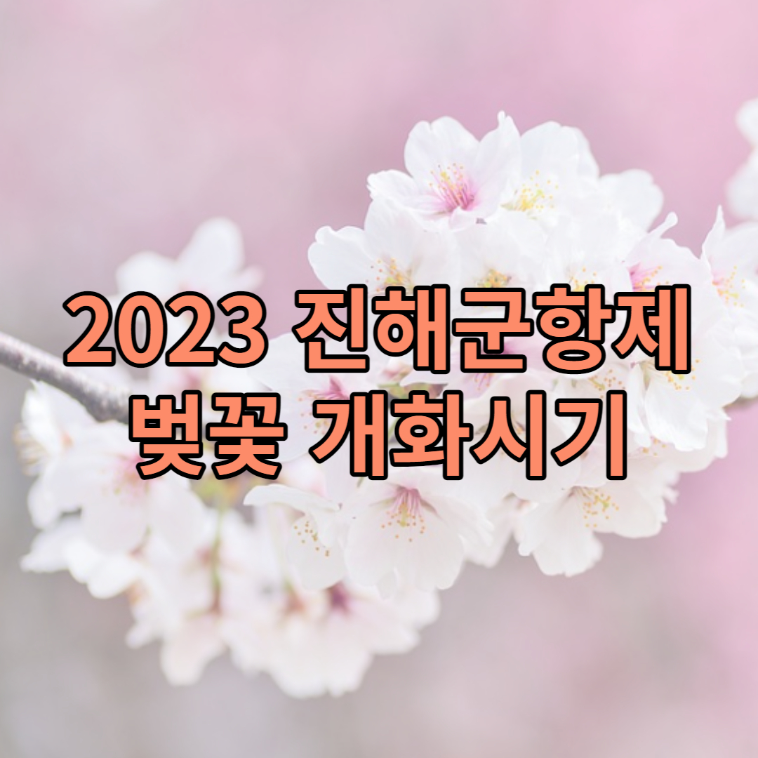 2023 진해군항제 및 벚꽃개화시기