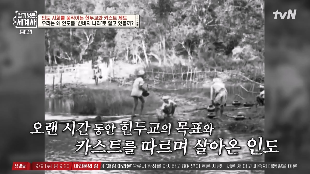 벌거벗은 세계사.E115.230906p-NEXT.mp4_20240406_181749.172.jpg