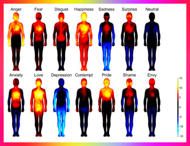 뇌변화와 몸 온도 변화 비교 사진