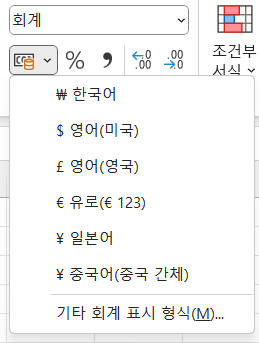 회계 표시형식 기호 변경