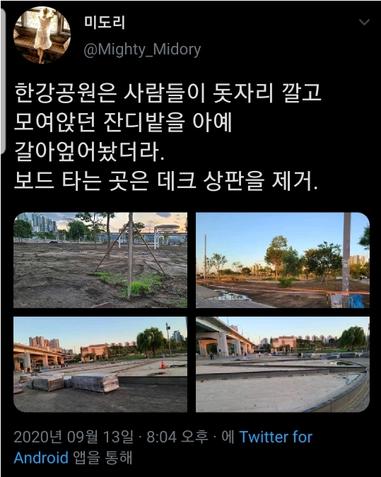  최근 잔디밭을 엎어버린 한강 근황.jpg