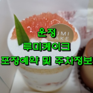  운정수제케이크 루미케익 포장예약 및 주차정보
