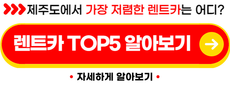 제주 렌트카 비교사이트 최저가 (실제후기)