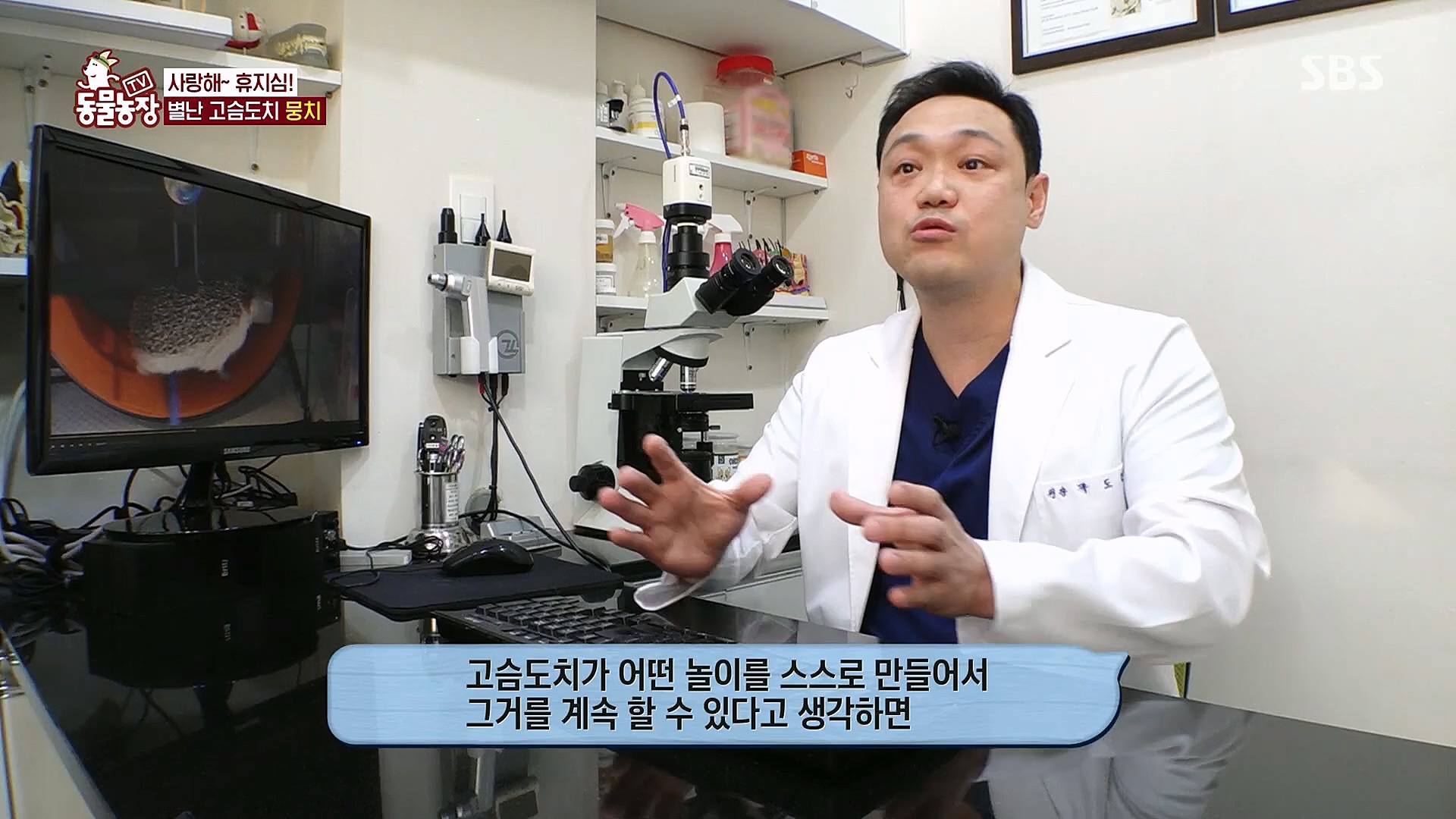 TV 동물농장.E1113.230326p.H264-F1RST.mp4_20230326_172506.525.jpg