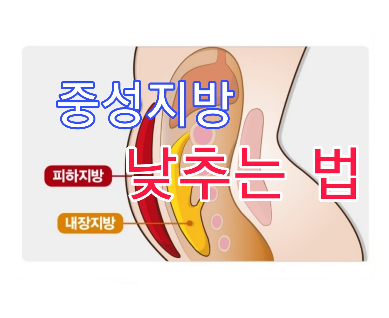  중성지방 낮추는 법 3가지