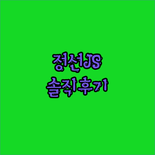 정선 JS 그랜드 팰리스 호텔 솔직 