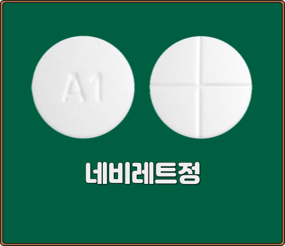 네비레트정_모양
