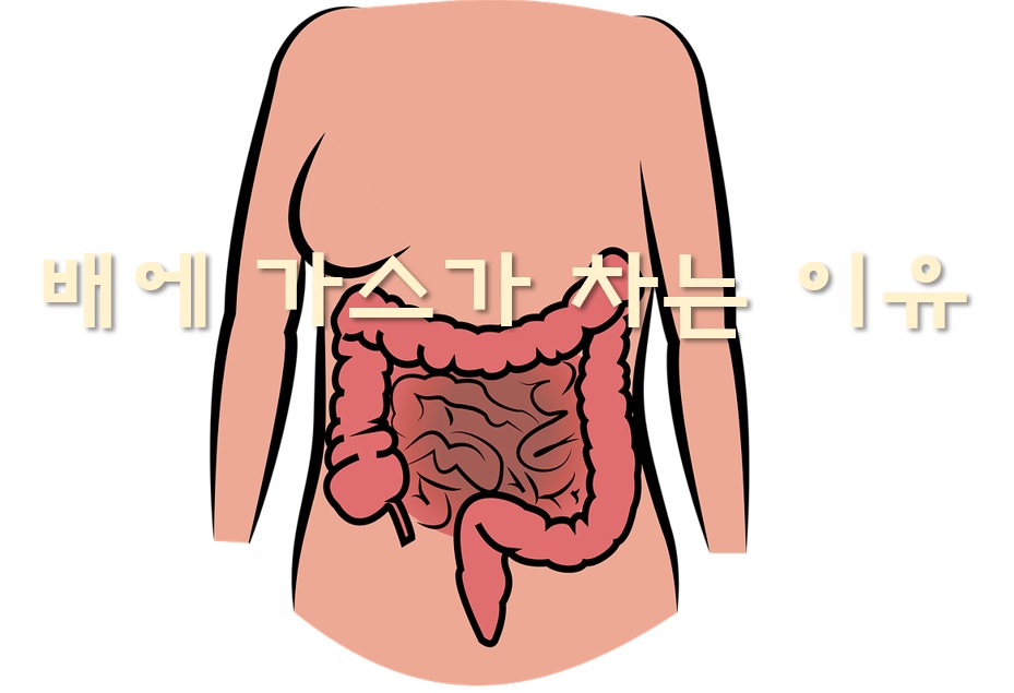  배에 가스가 자주 차는 이유와 배에 가스 빼는 법
