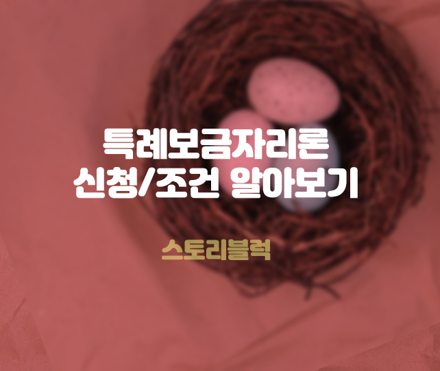  특례보금자리론 조건 신청 디딤돌 대출과 차이점은?