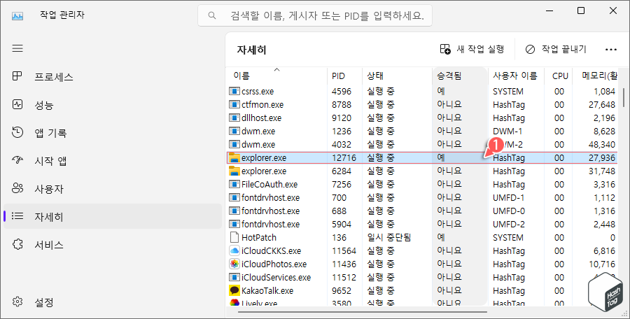 explorer.exe 프로세스에 대한 승격됨 "예" 확인