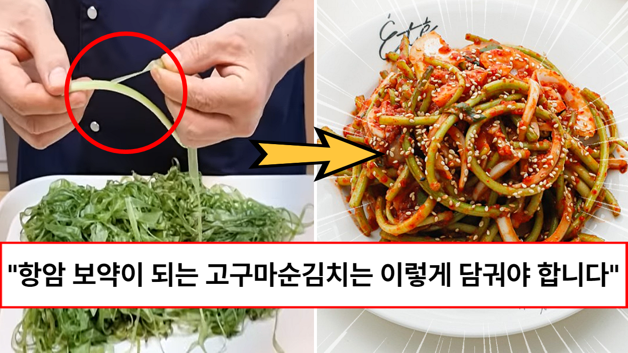 “이렇게 먹으면 피부에도 좋습니다” 여름부터 가을까지만 먹을 수 있는 보약같은 고구마줄기 김치 초간단 레시피