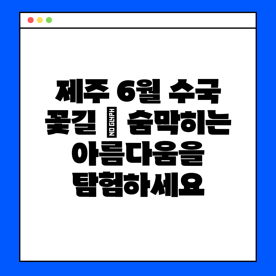 제주 6월 수국 꽃길  숨막히는 아름다움을 탐험하세요