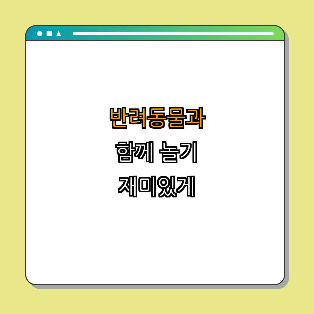 반려동물과 함께하는 실내 놀이법 ｜ 스트레스 해소 ｜ 행복한 반려생활 ｜ 재미있는 놀이아이디어 ｜ 반려동물과의 유대 강화 ｜ 총정리