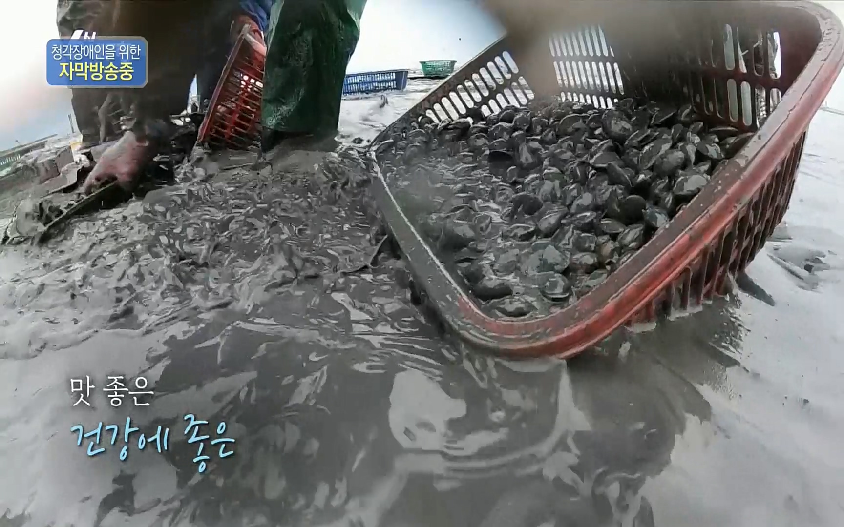 6시 내고향.E7494.220322p.H264-F1RST.mp4_20220326_182105.449.jpg